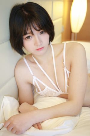 97在线免费欧美熟videos_DVD高清免费观看